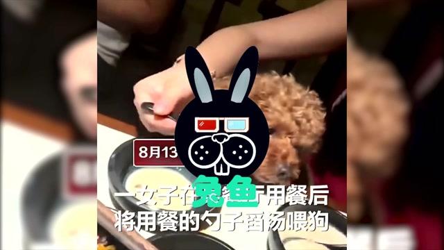 湖南一女子使用餐厅碗筷给宠物狗喂食，你怎么看「就餐与宠物共用餐具有哪些」 游戏资讯